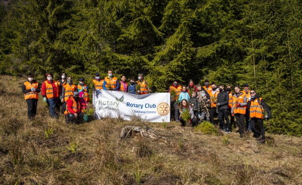 Rotary Club Suceava Cetate plantează